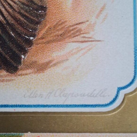 1909 Rare Antique Clapsaddle Greetings for Thanksgiving Day Postcard No. 51670 - Picture 3 of 7